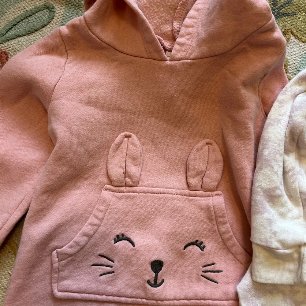 Set of 2 Hoodies - Girls 4-5T